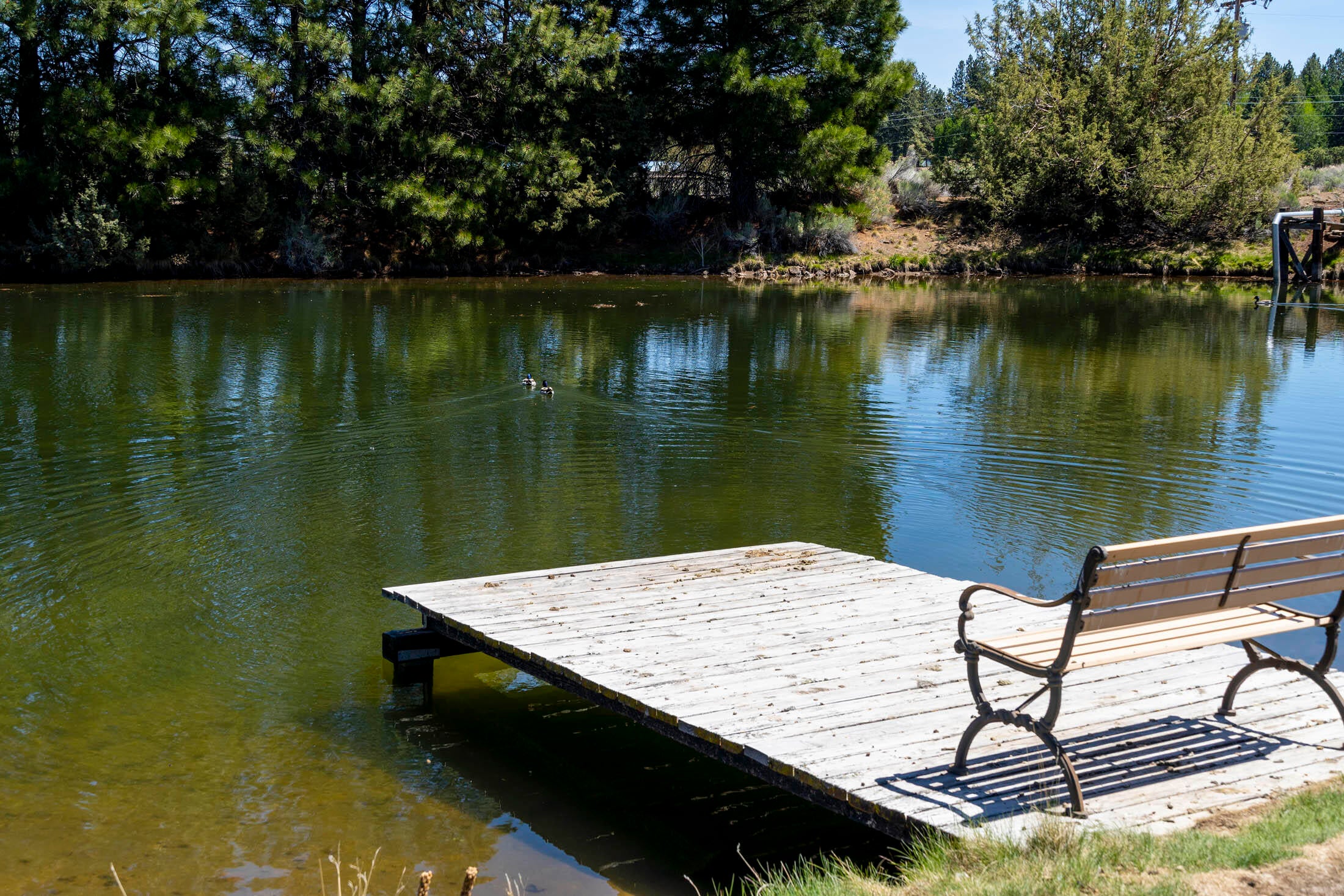 60590 Woodside Road Bend, OR 97702 - Photo 11 of 37 60590 Woodside Rd_0074 copy