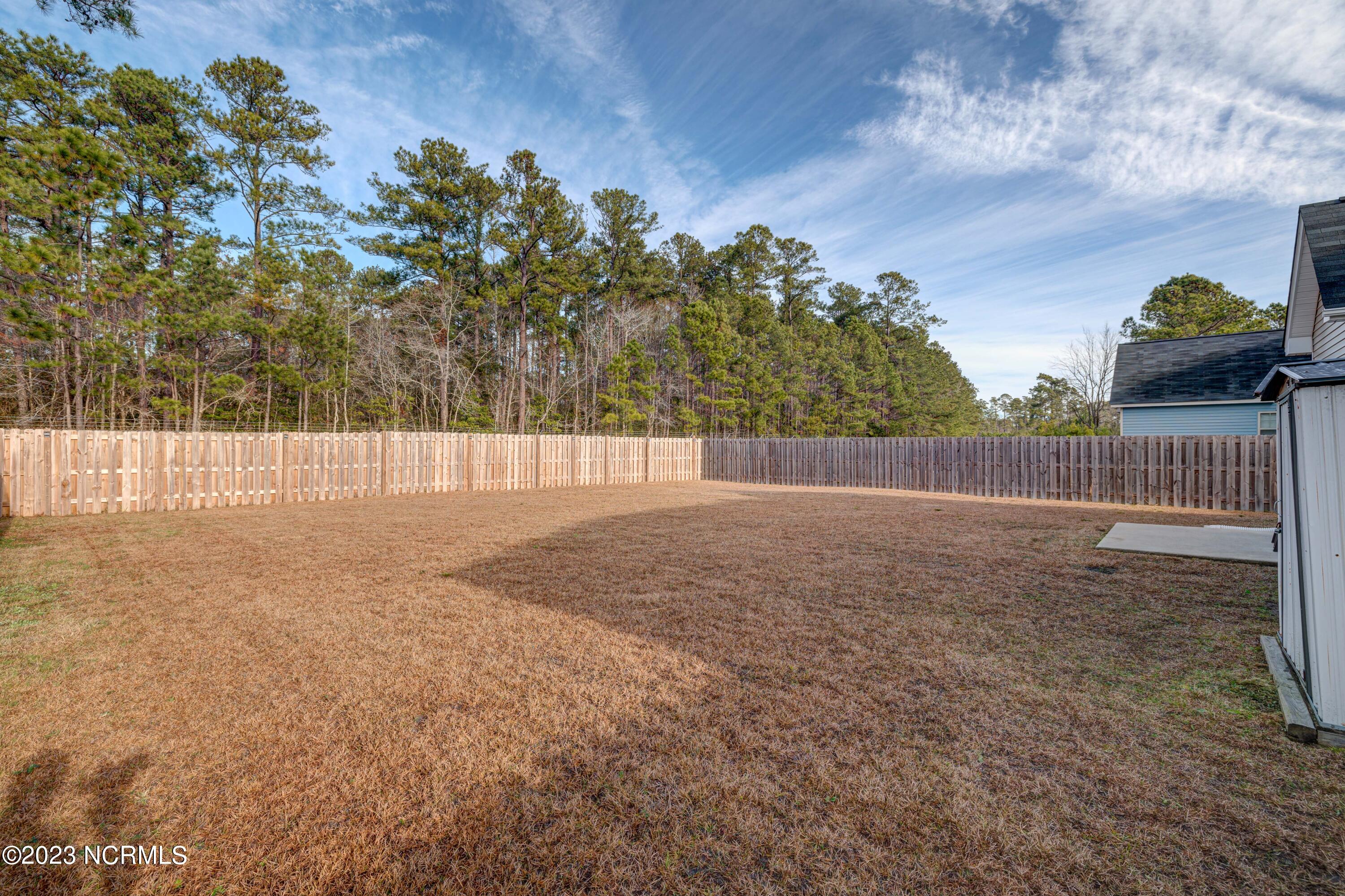 852 Heartwood Loop Road Leland, NC 28451 - Photo 34 of 34 backyard 2