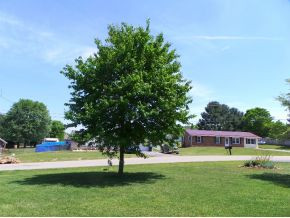 119 Huntland Road Jonesborough, TN 37659 - Photo 13 of 24 Photo 13