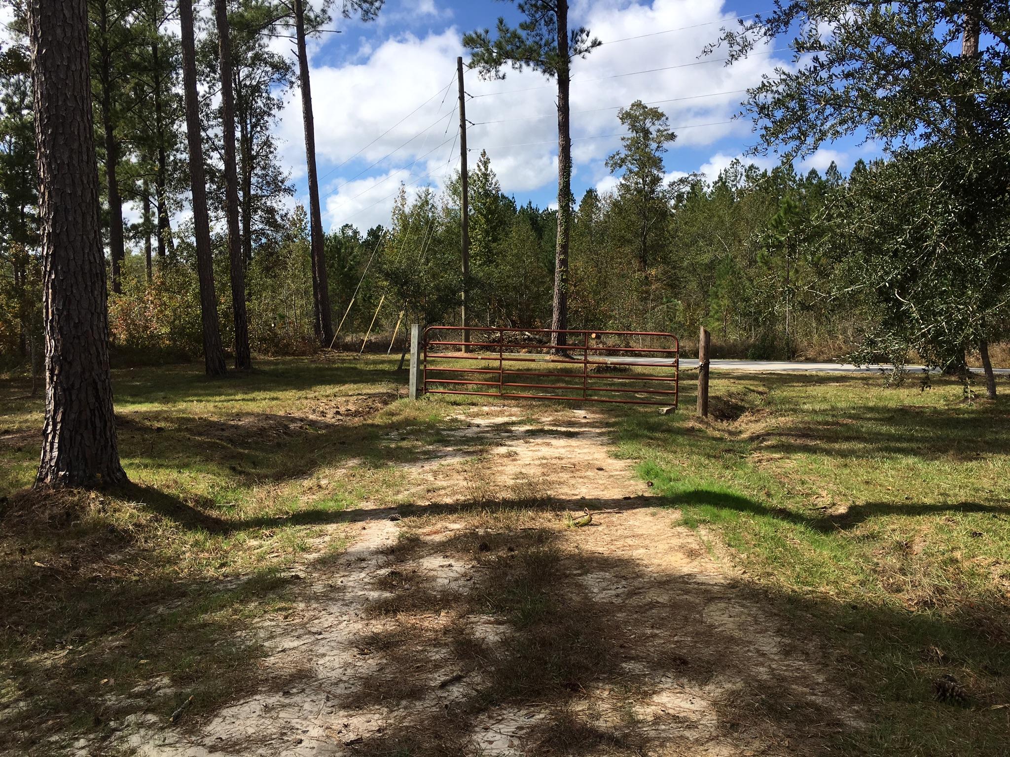 0 Zion Fair Road Varnville, SC 29944 - Photo 11 of 17 C1BC5642-5D85-425E-AE6E-F8A7659A599E