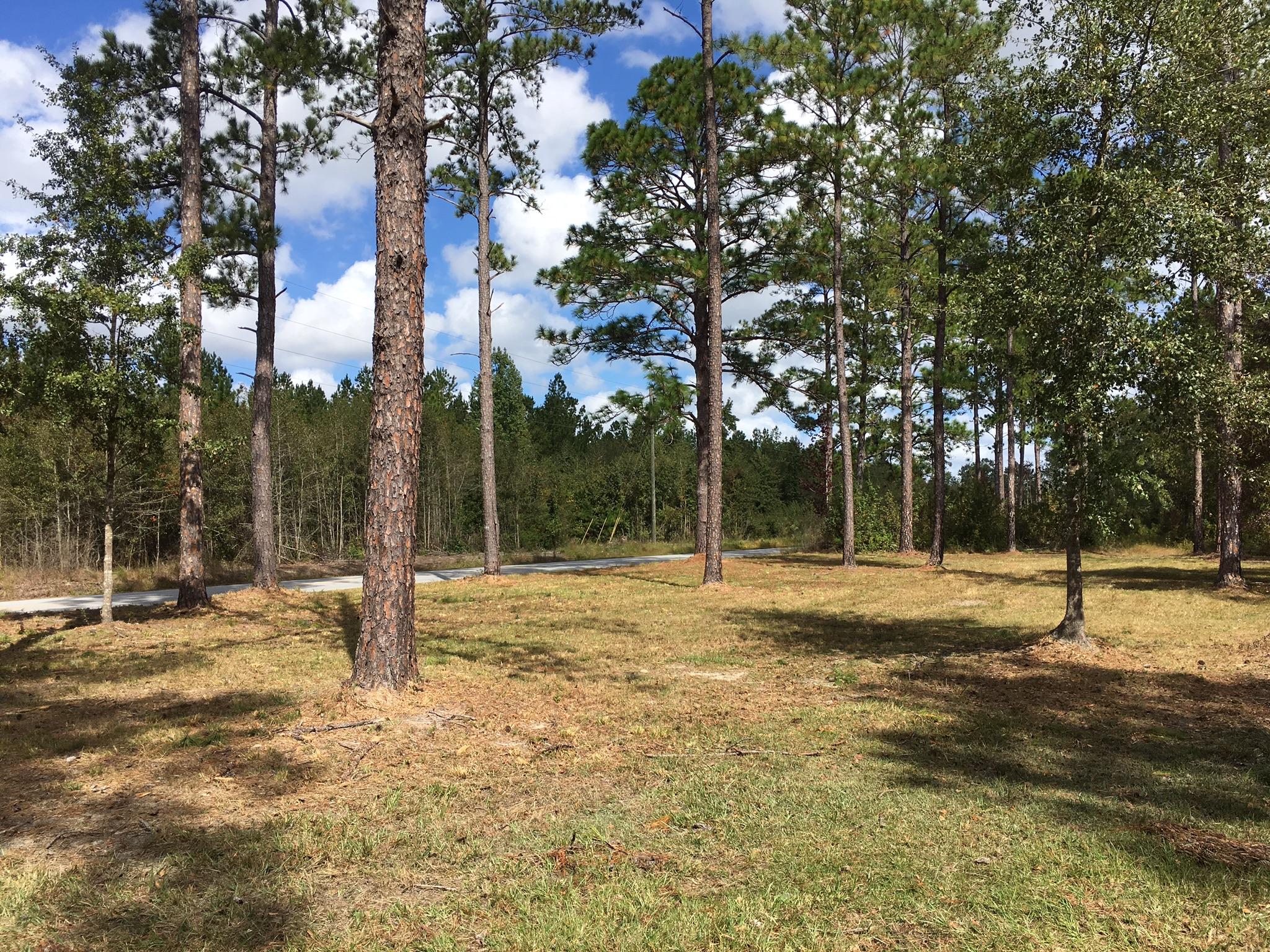 0 Zion Fair Road Varnville, SC 29944 - Photo 12 of 17 ECD23A54-B922-48EC-87C7-CC05B2357FFF