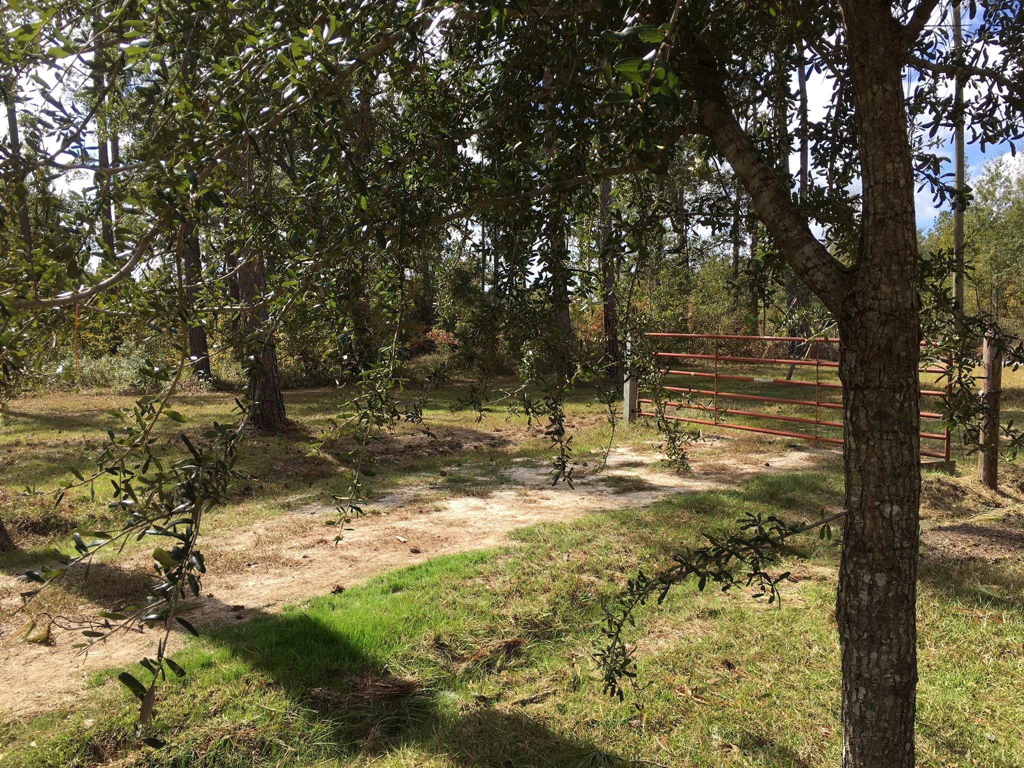 0 Zion Fair Road Varnville, SC 29944 - Photo 13 of 17 329B8441-7BCF-4C48-BB03-3C924A86A6D2