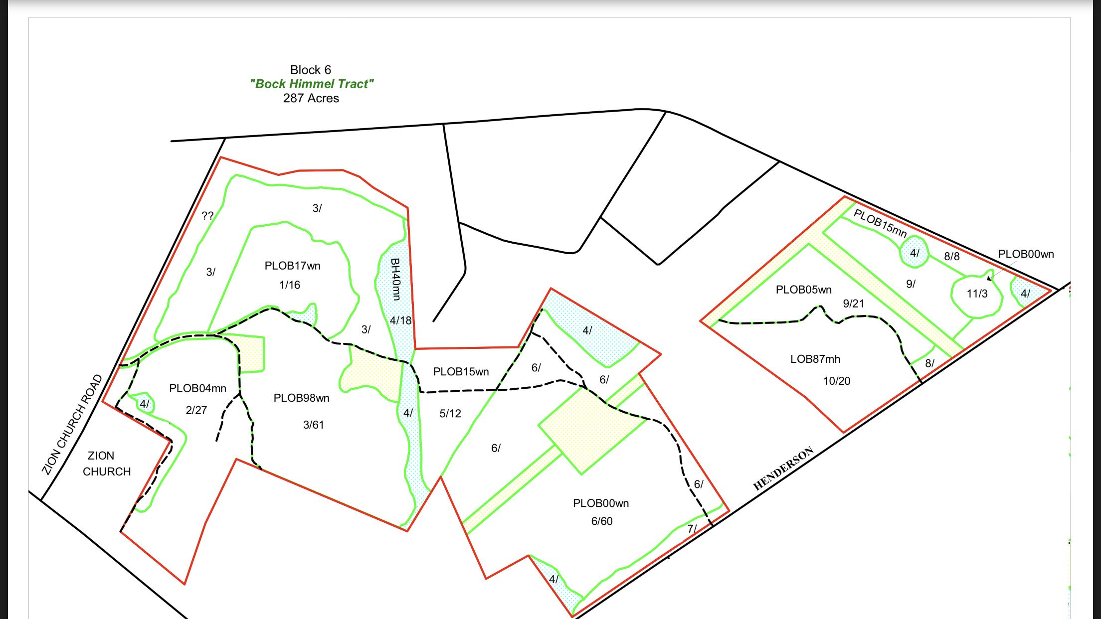 0 Zion Fair Road Varnville, SC 29944 - Photo 17 of 17 001C5033-3490-422E-9DE4-002D561AE0F3