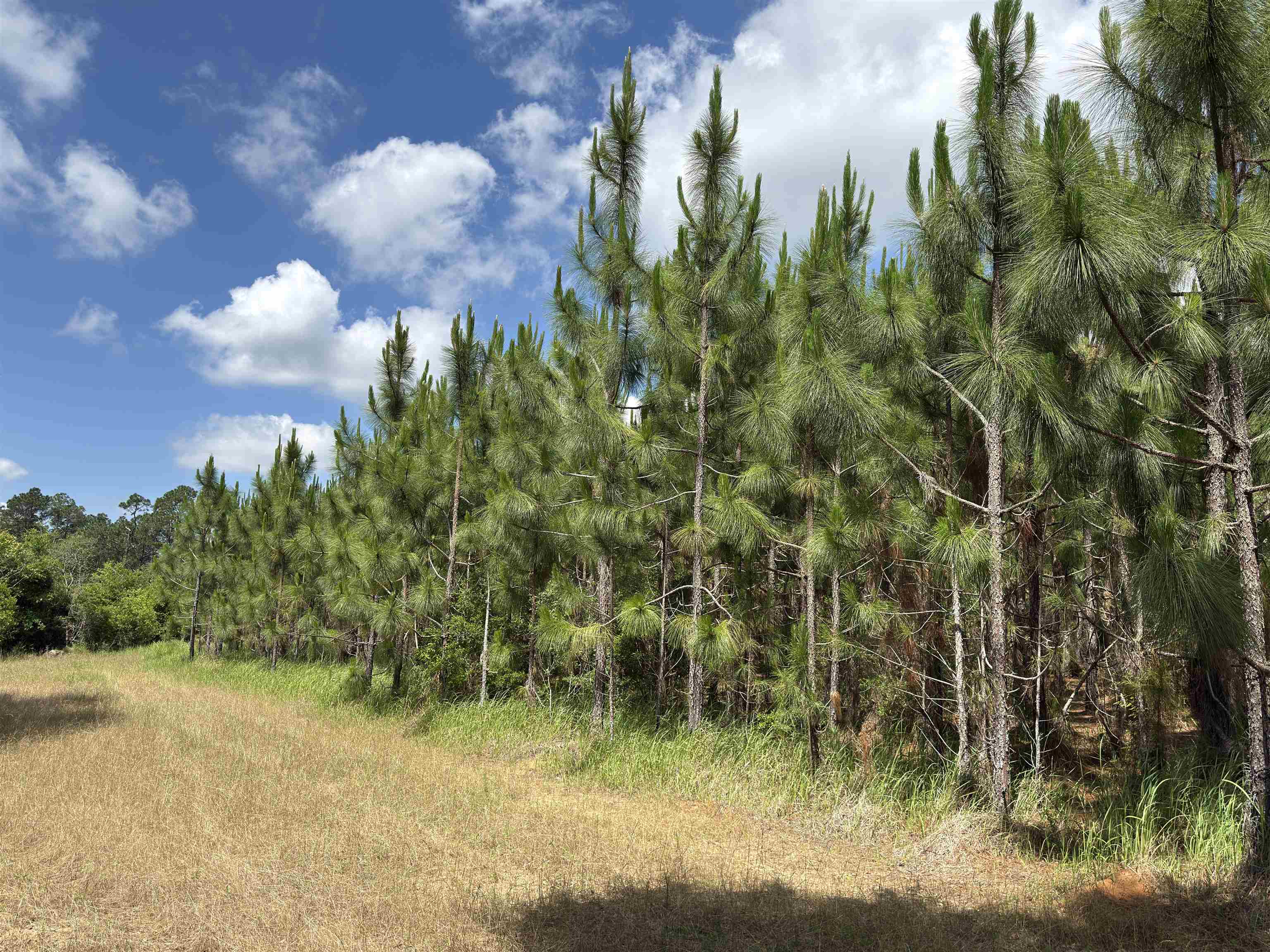 87 County Road 87 Elberta, AL 36530 - Photo 59 of 66