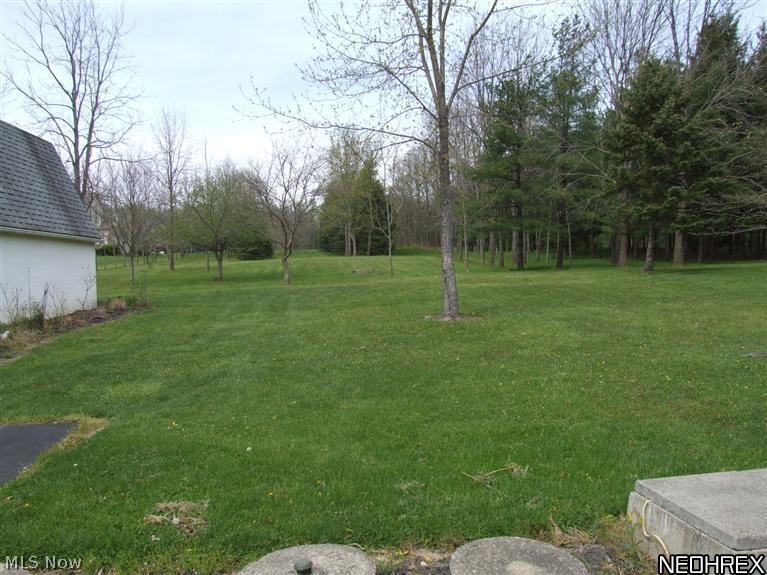2413 Remsen Road Medina, OH 44256 - Photo 23 of 23 YARD