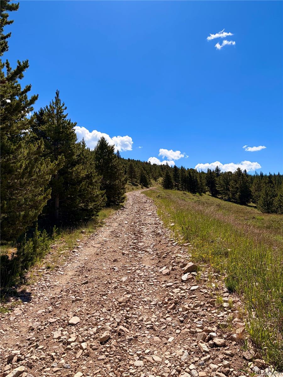 1 Apex Black Hawk, CO 80422 - Photo 21 of 38