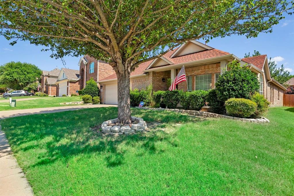 5316 Ridgeson Drive McKinney, TX 75071 - Photo 10 of 33 Brick façade residence featuring a prominent front lawn, mature tree with stone-edged planting bed, and established perimeter shrubbery