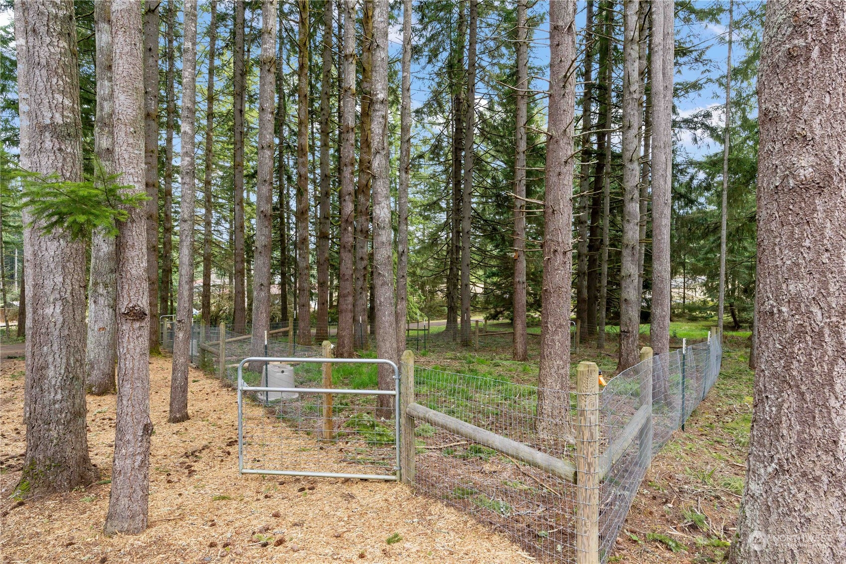 174 Frogner Road Chehalis, WA 98532 - Photo 36 of 40 a view of a park