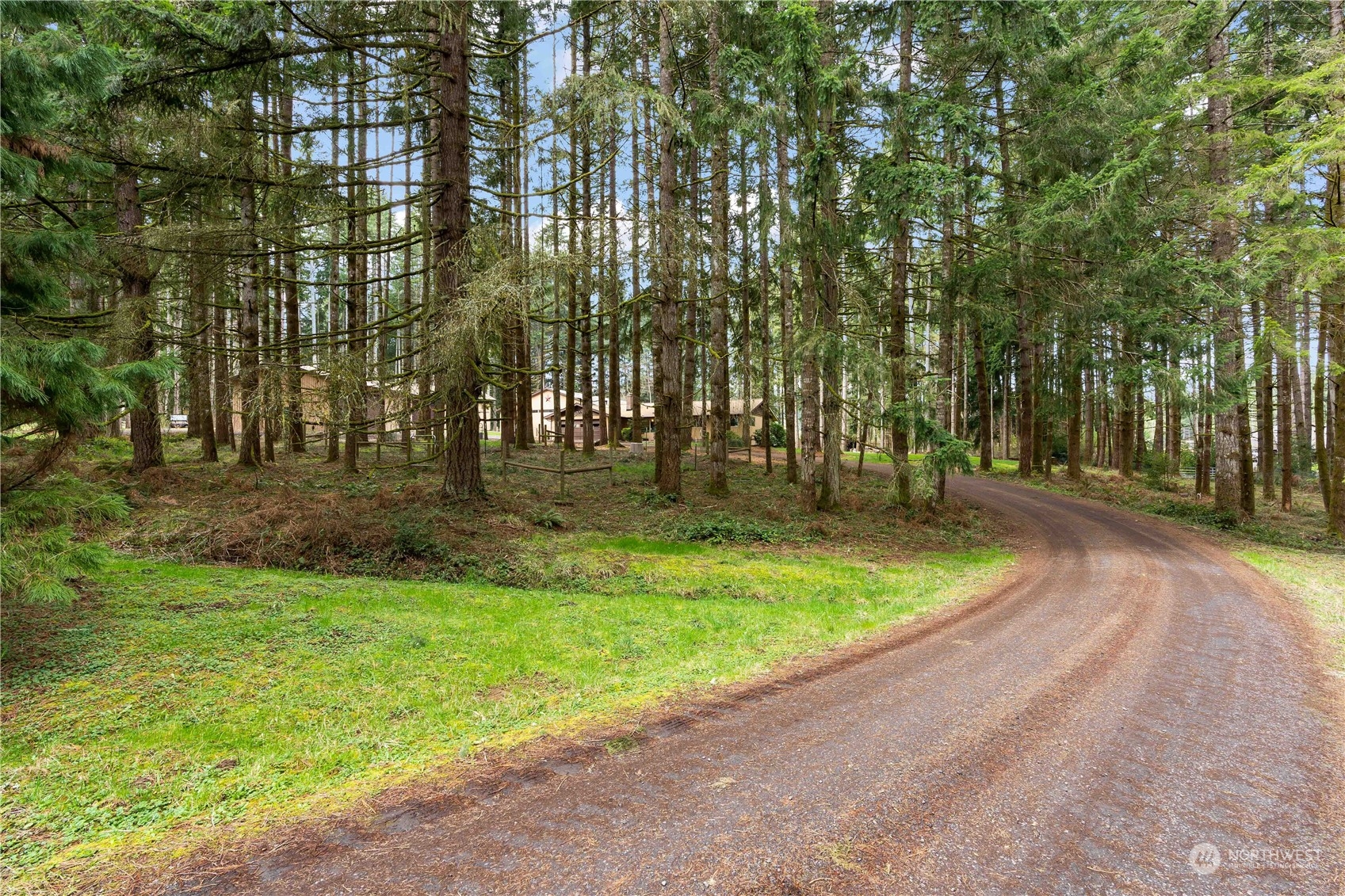 174 Frogner Road Chehalis, WA 98532 - Photo 39 of 40 a view of outdoor space with trees