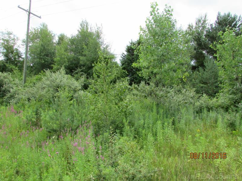 Tbd Harrington Road Lexington, MI 48450 - Photo 4 of 8