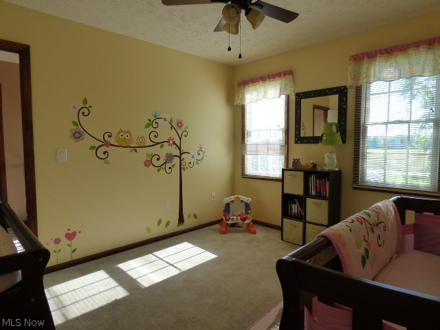 9202 Cherry Road Vermilion, OH 44089 - Photo 17 of 20