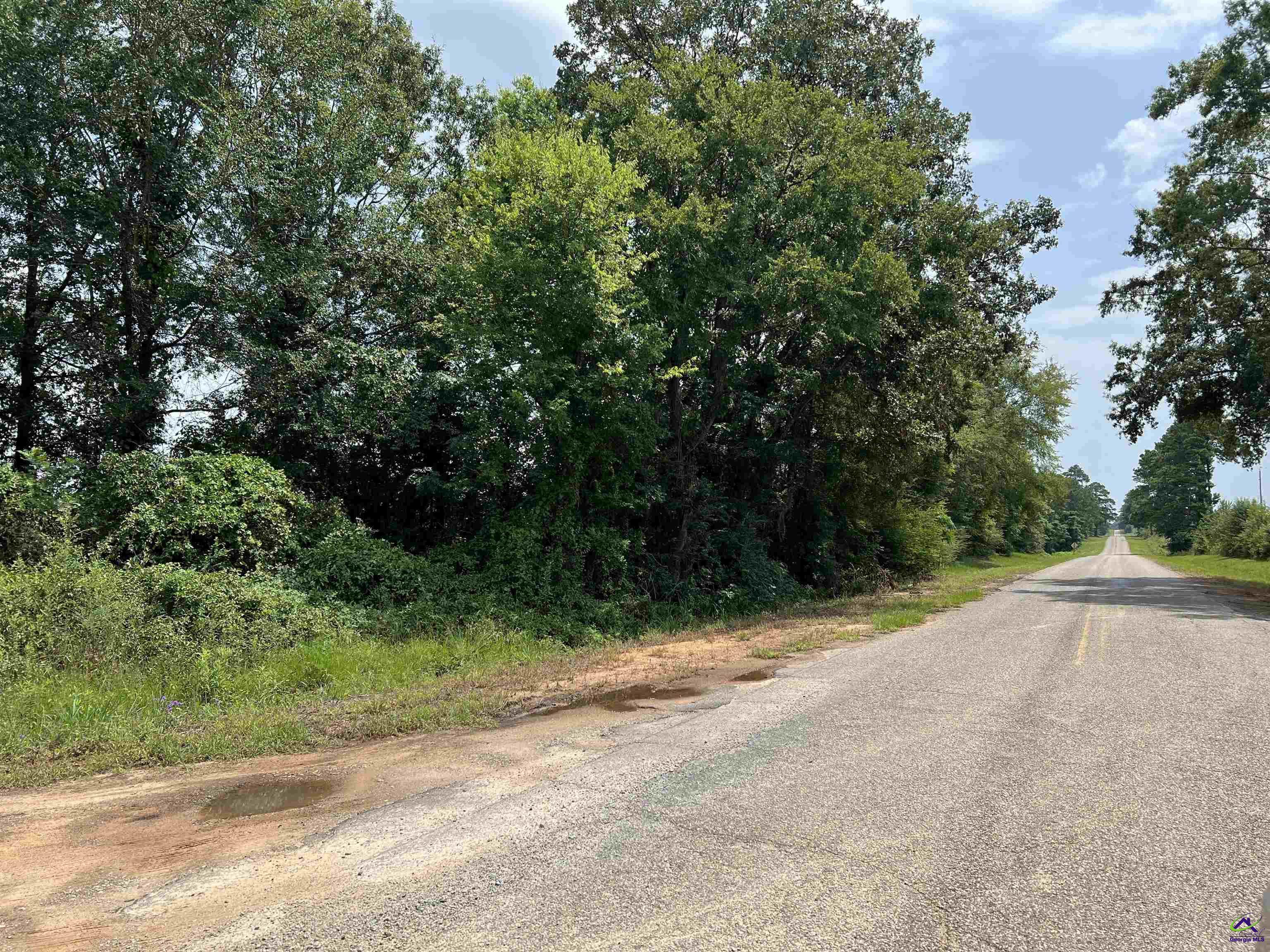 Red Dog Farm Road Cochran, GA 31014 - Photo 2 of 11