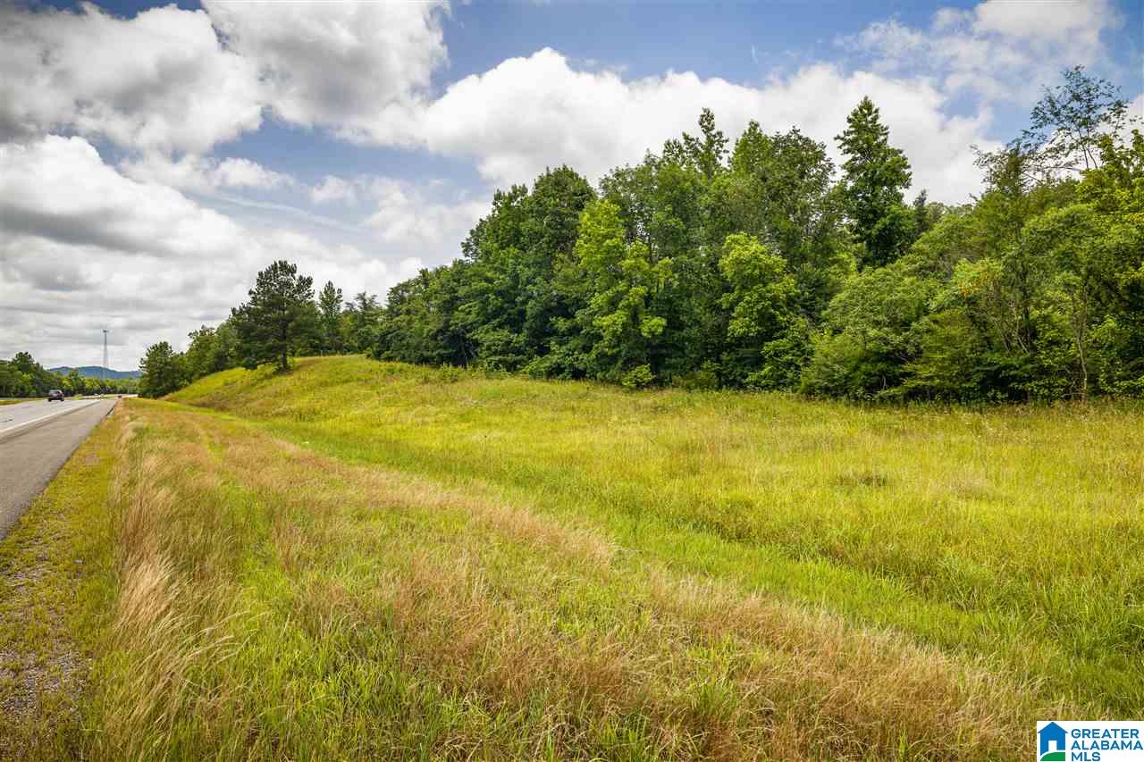 0 Highway 75, Unit 5032 Oneonta, AL 35121 - Photo 3 of 18