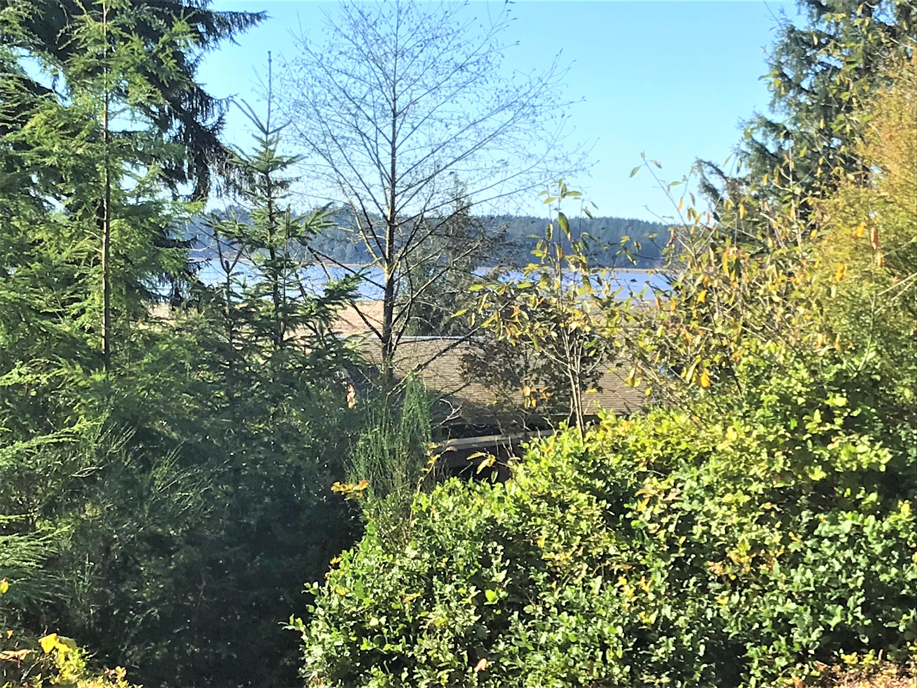 Lot #8 Nehalem Point Astoria, OR 97103 - Photo 3 of 6 Wrenn Lot 8 IMG_8752 (2)