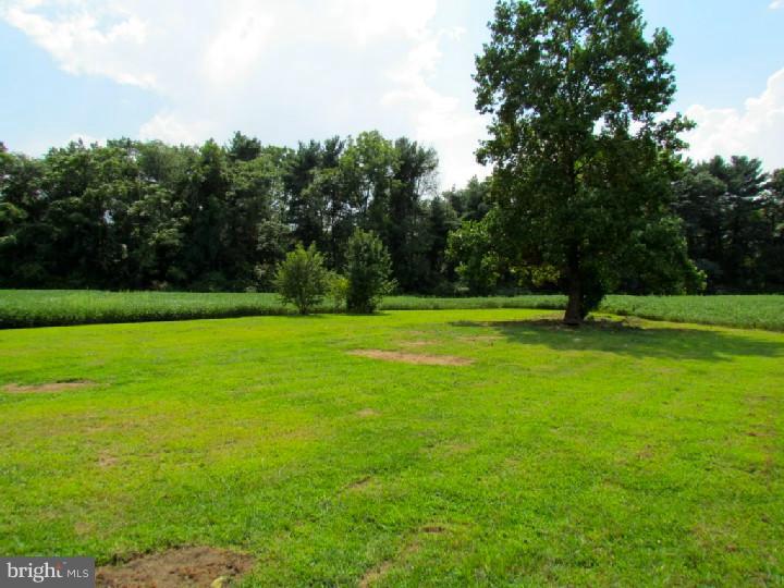 1755 Glassboro Road Sewell, NJ 08080 - Photo 22 of 28 a view of a park with large trees