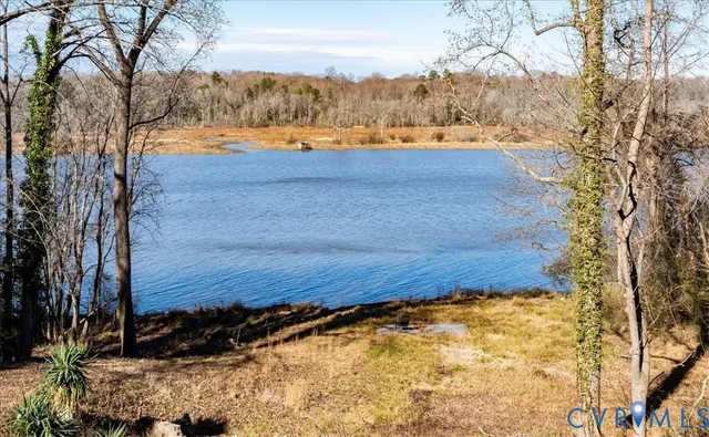 a view of a yard with an trees