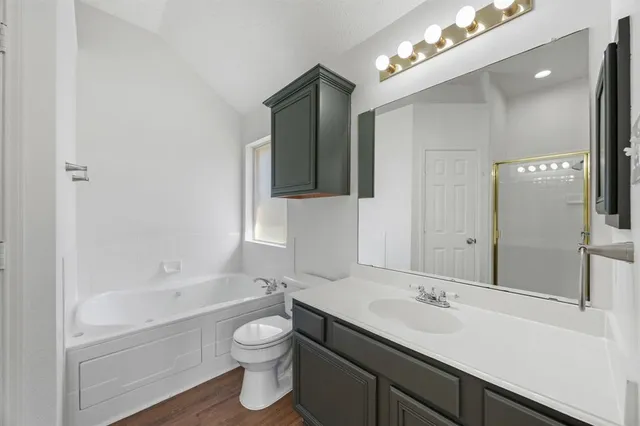 a bathroom with a toilet a sink a tub and mirror