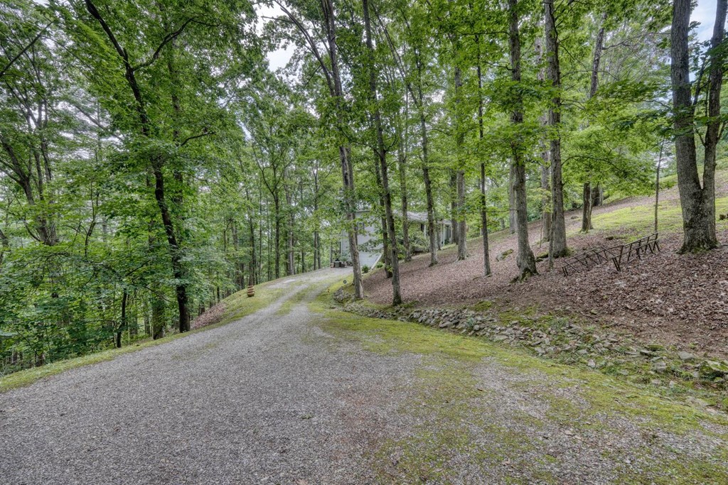 171 Mountain Top Road Blairsville, GA 30512 - Photo 12 of 54 a view of a forest with trees in the background