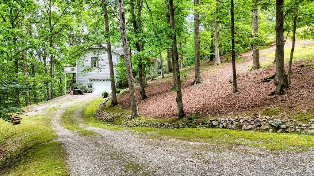 171 Mountain Top Road Blairsville, GA 30512 - Photo 2 of 54 a view of backyard with tree