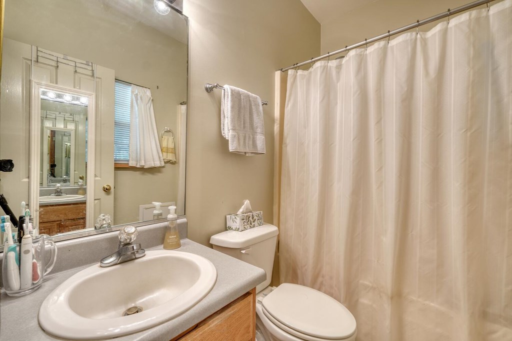 171 Mountain Top Road Blairsville, GA 30512 - Photo 40 of 54 a bathroom with a sink a toilet and shower curtain