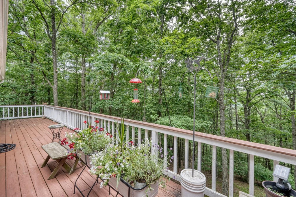 171 Mountain Top Road Blairsville, GA 30512 - Photo 49 of 54