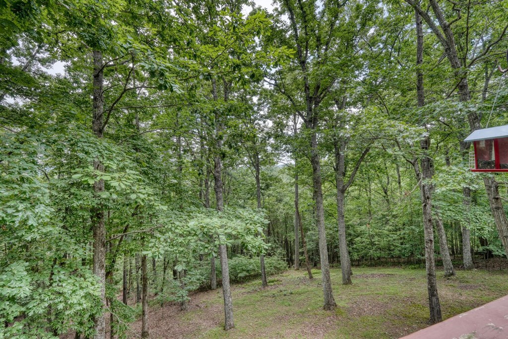 171 Mountain Top Road Blairsville, GA 30512 - Photo 51 of 54 a view of a forest that has large trees