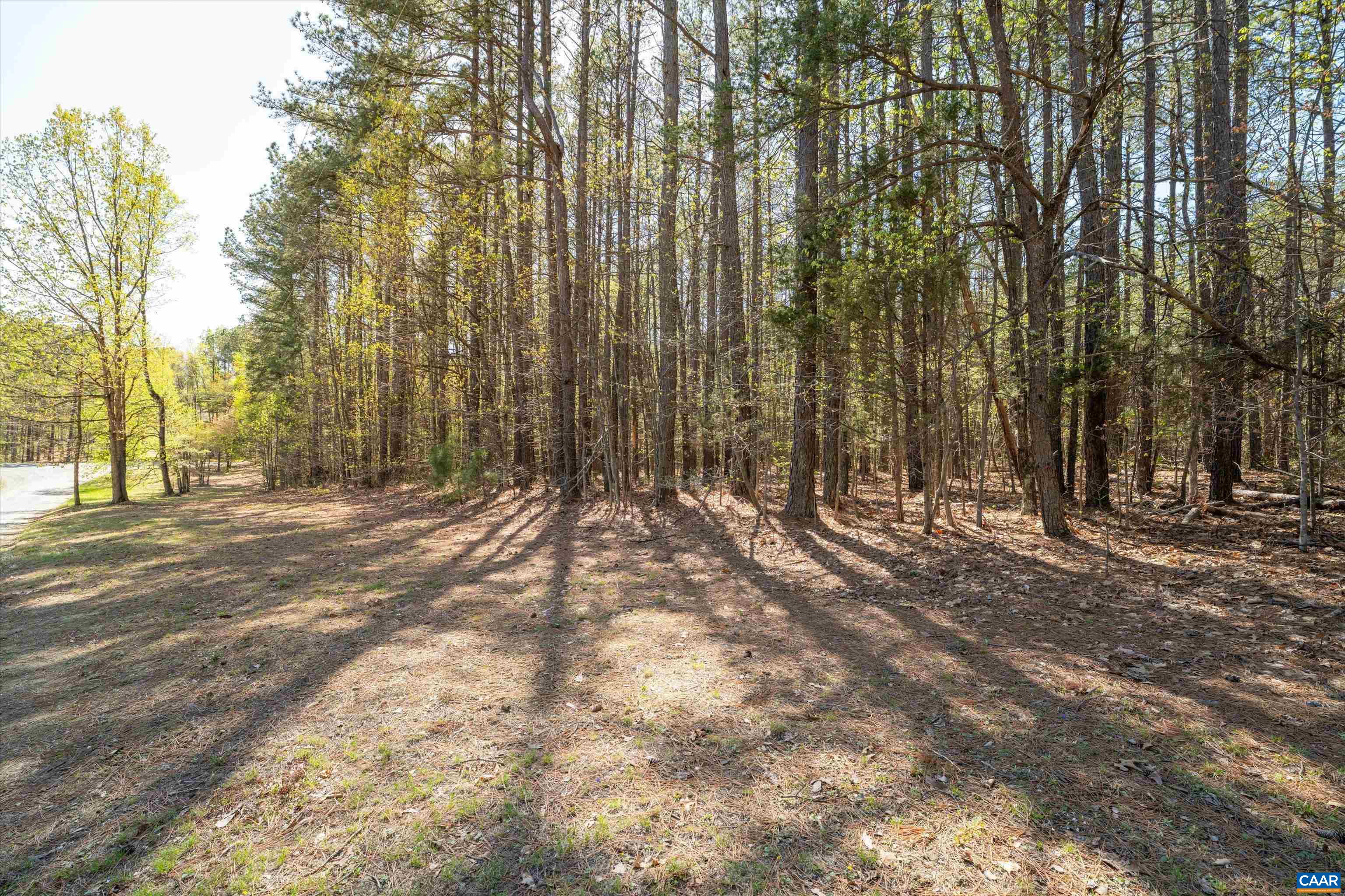 Lot 27 Martin Kings Road Charlottesville, VA 22902 - Photo 7 of 45 a view of outdoor space with wooden fence