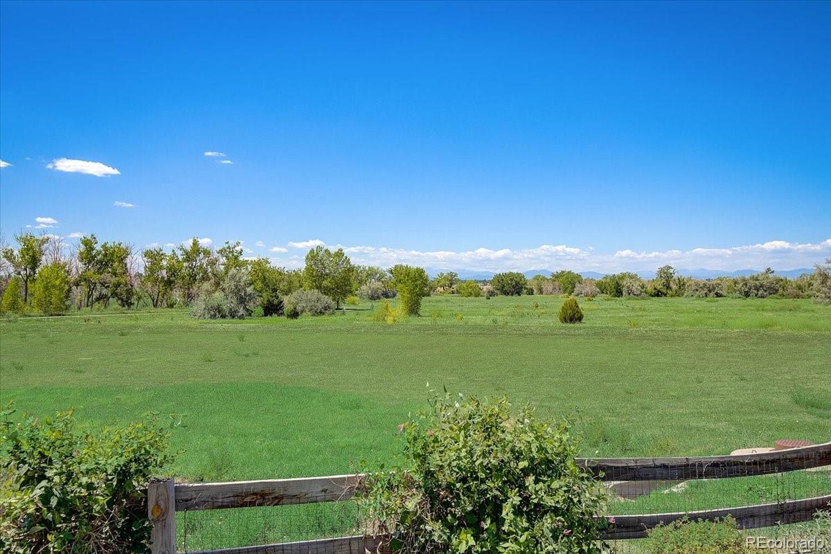 6063 South Eagle Street Centennial, CO 80016 - Photo 38 of 40 a view of a green field with lots of green space