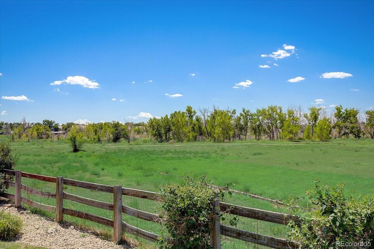 6063 South Eagle Street Centennial, CO 80016 - Photo 39 of 40 a view of a lush green space