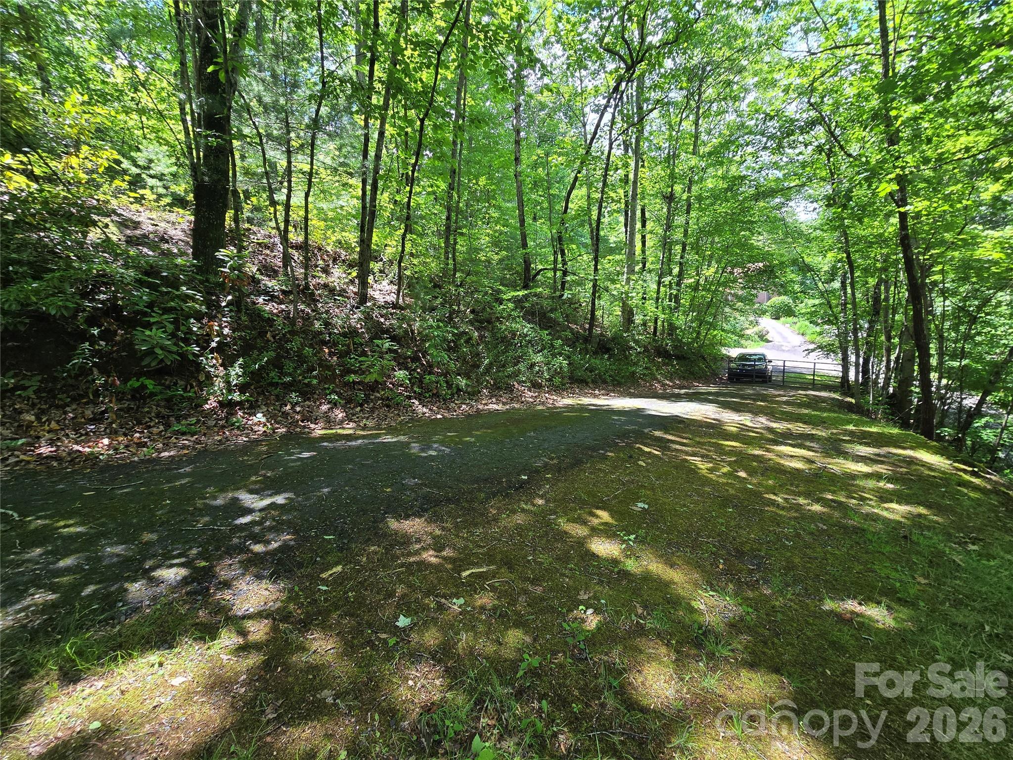 6 Rain Cloud Road Candler, NC 28715 - Photo 4 of 14