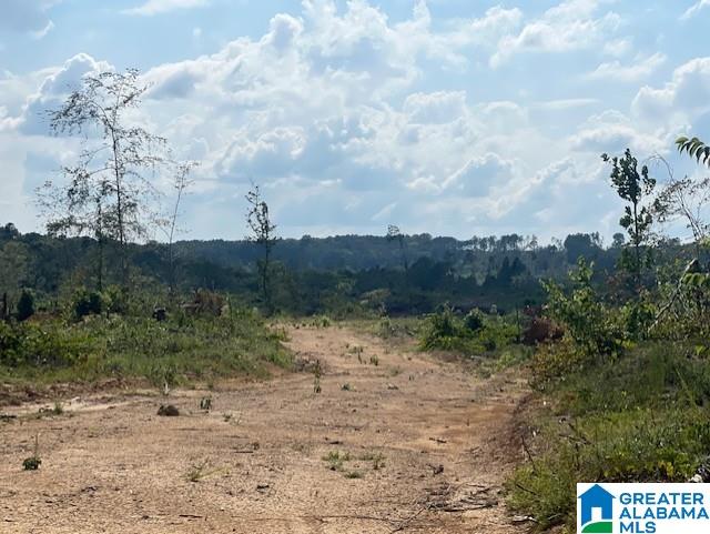 11482 Camp Oliver Road Adger, AL 35006 - Photo 25 of 48