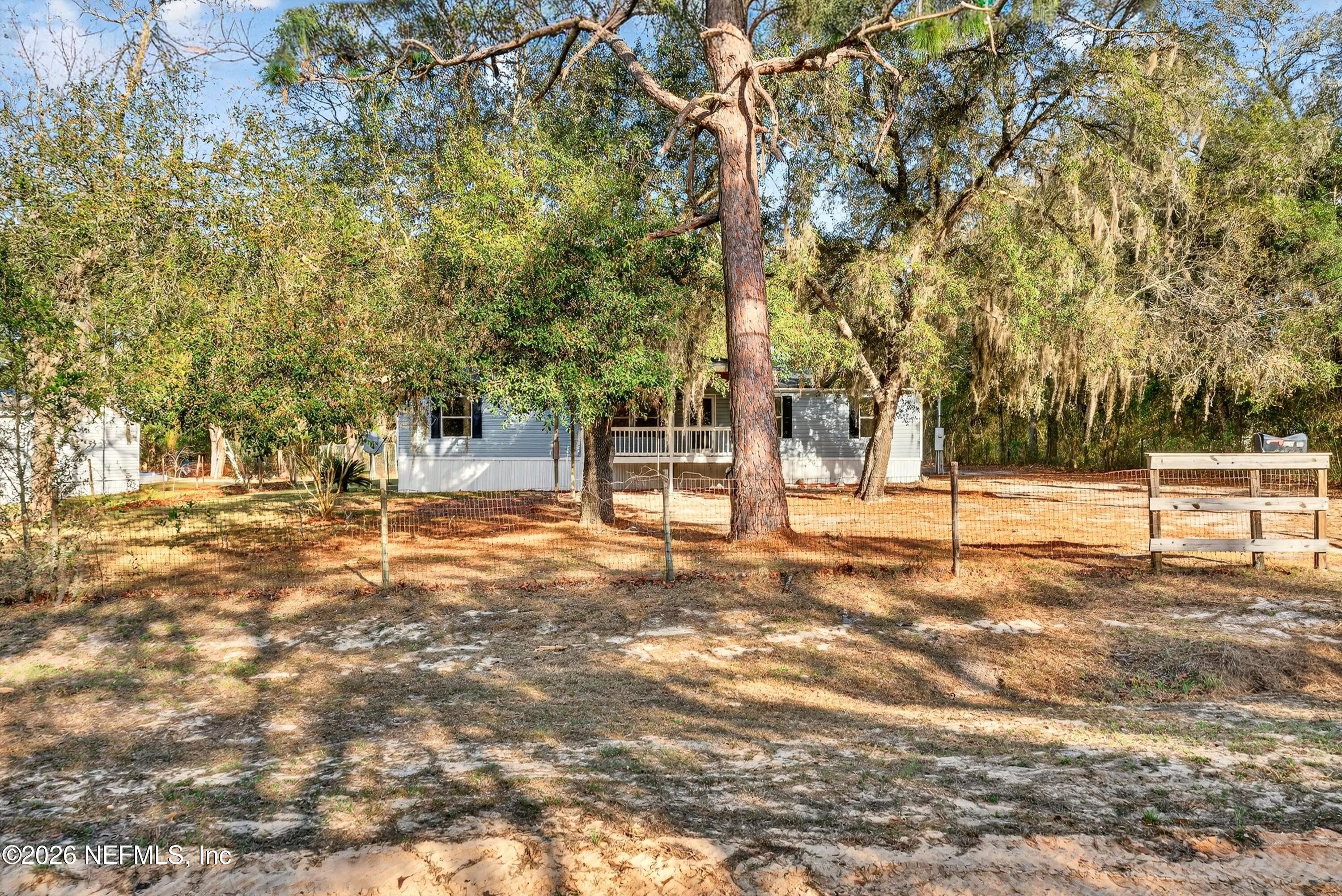 7595 Oak Forest Road Keystone Heights, FL 32656 - Photo 47 of 49 a view of yard and trees