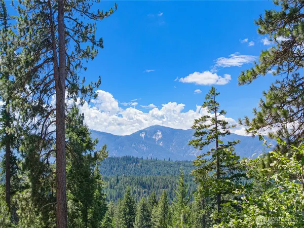 $895,000 | 4 Red Sky Way, Ronald, WA 98940