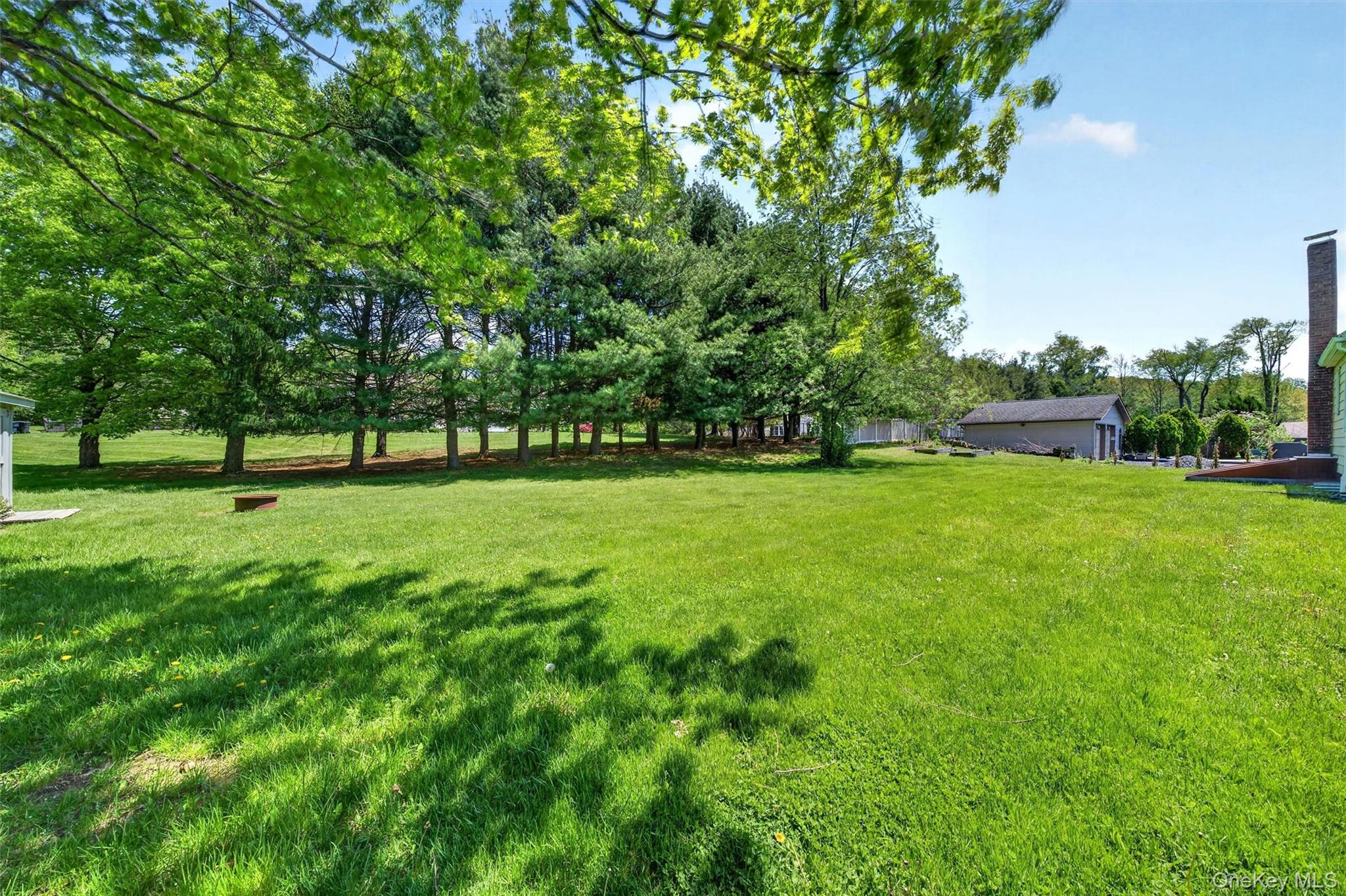 151 Laroe Road Chester, NY 10918 - Photo 38 of 43 a view of a park with trees in the background