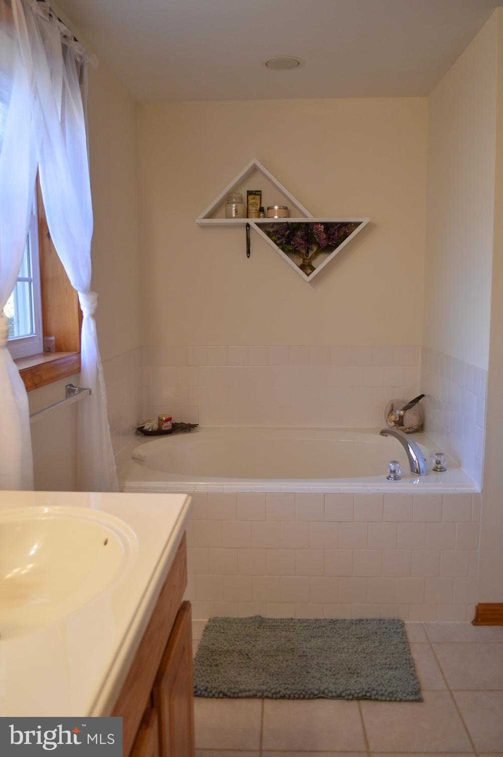 10379 River Road Rixeyville, VA 22737 - Photo 20 of 50
