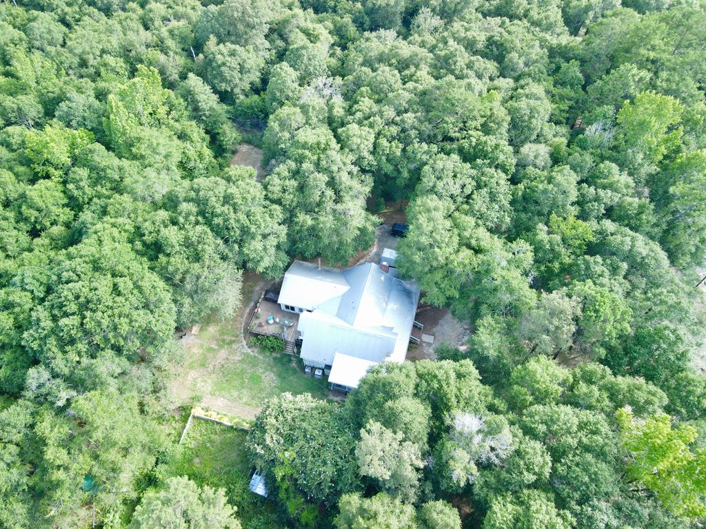 341 Deerfield Road Newton, AL 36352 - Photo 50 of 50