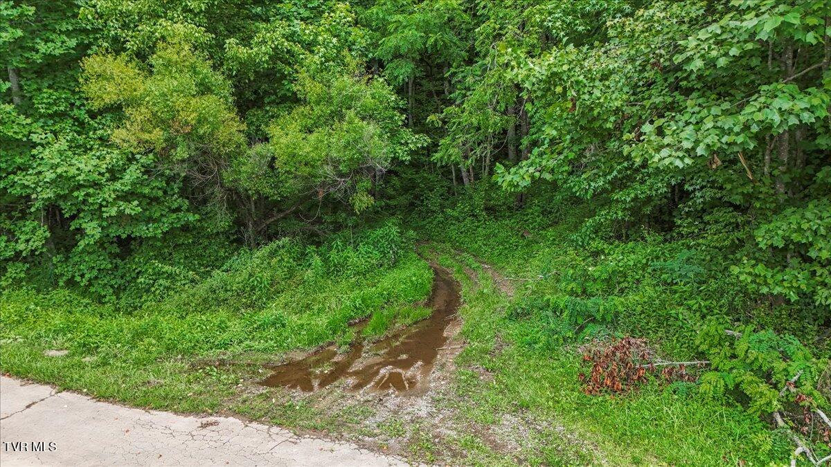 Tbd Masters Road Erwin, TN 37650 - Photo 11 of 14 11-DJI_20250610120751_0149_D