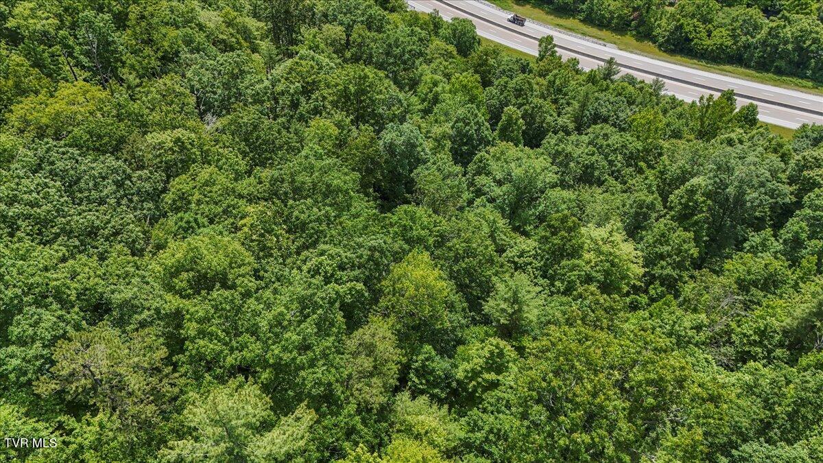 Tbd Masters Road Erwin, TN 37650 - Photo 8 of 14 08-DJI_20250610120651_0147_D