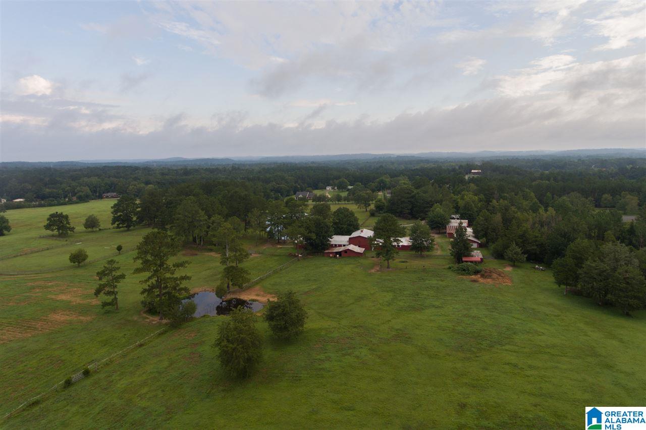 1366 Holland-Finley Road Jacksonville, AL 36265 - Photo 2 of 33