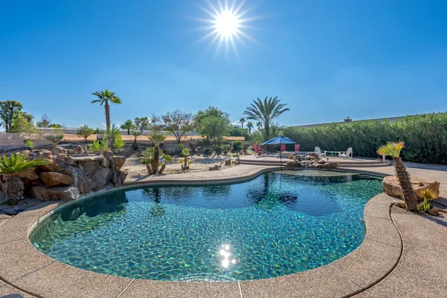 a view of a swimming pool with a patio and plants