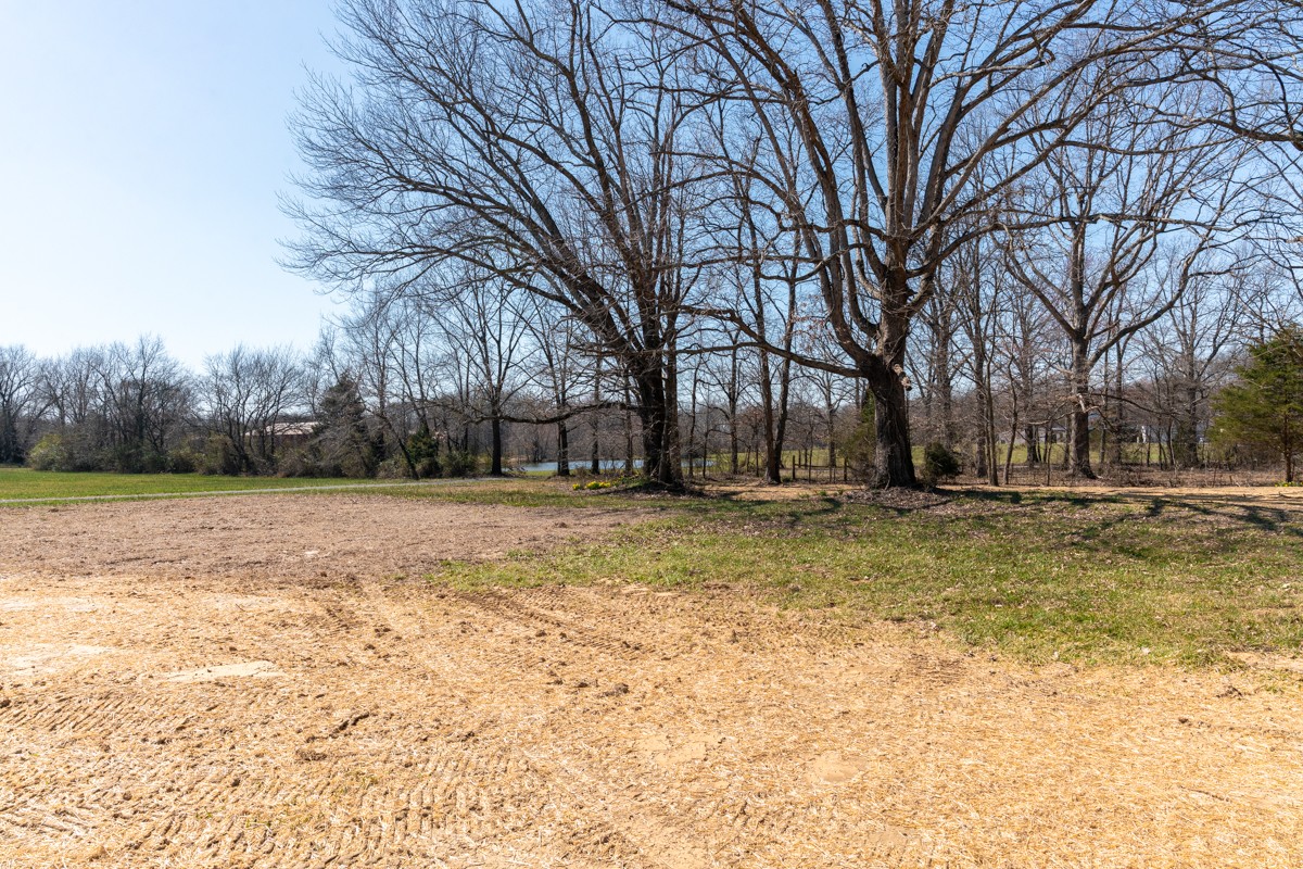 4214 Oregon Road Springfield, TN 37172 - Photo 32 of 37 a view of yard with trees