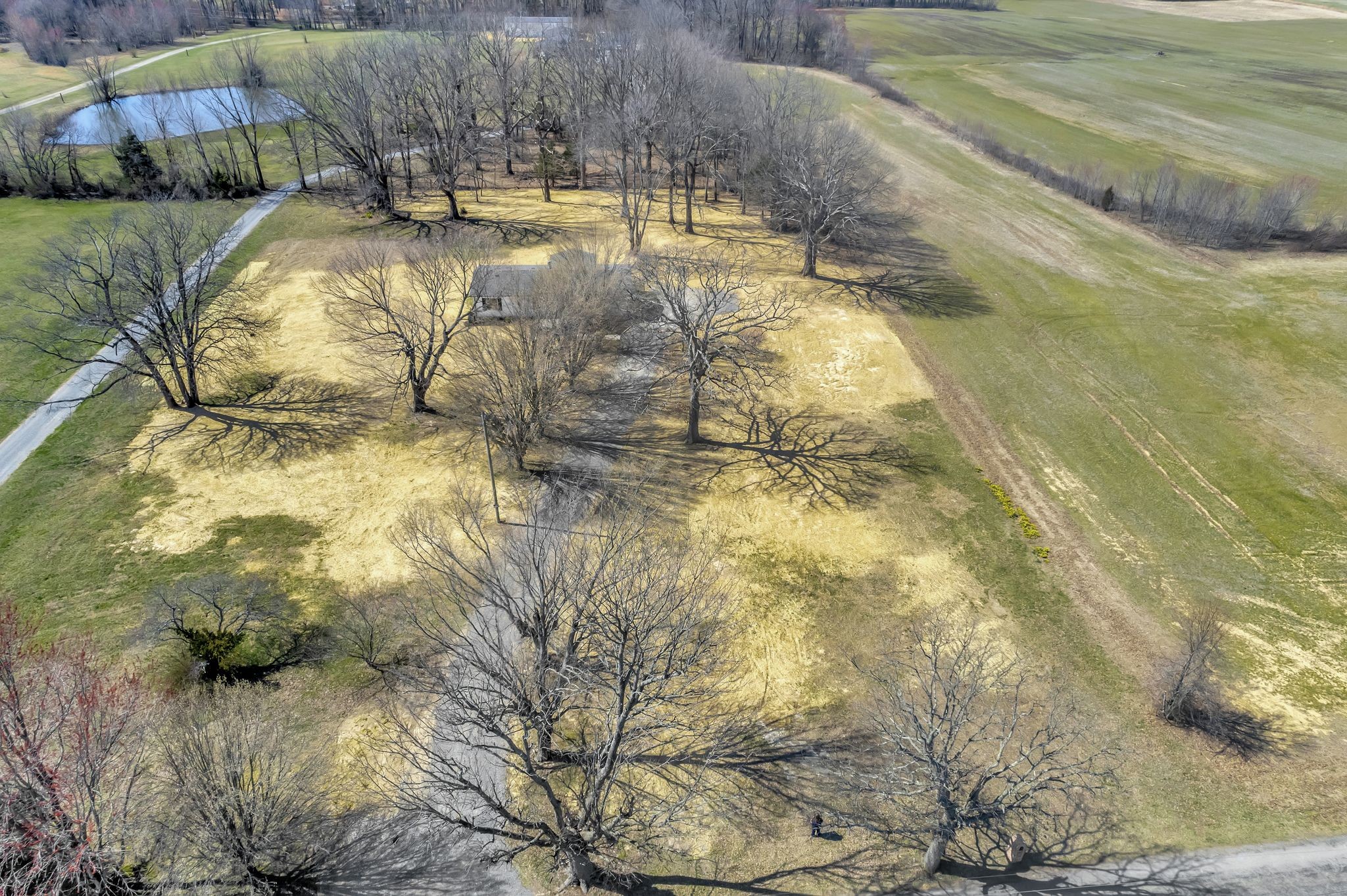 4214 Oregon Road Springfield, TN 37172 - Photo 35 of 37 a view of a yard