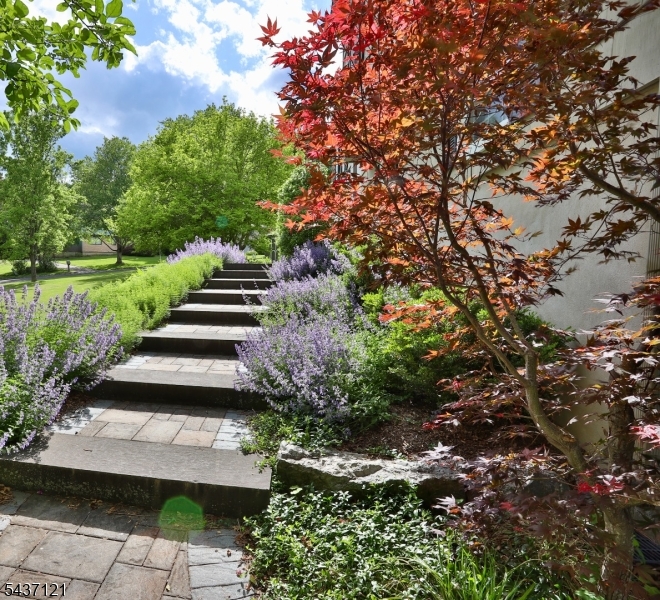 13 Raritan Drive Califon, NJ 07830 - Photo 3 of 21
