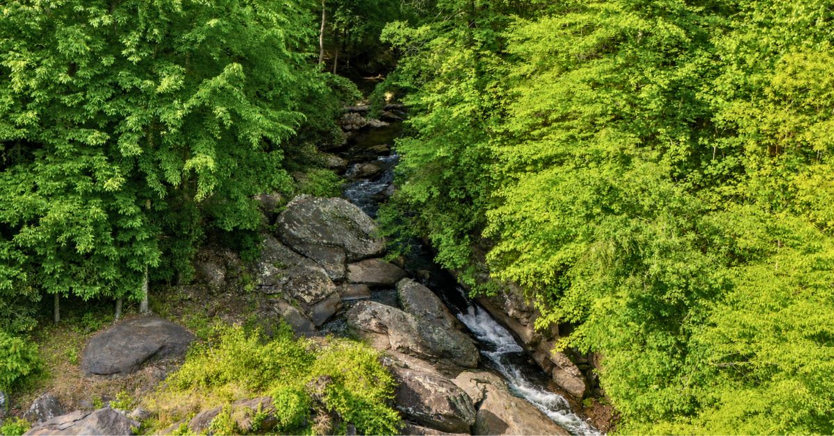 102 State Rd S-39-143 Sunset, SC 29685 - Photo 40 of 47 A tranquil creek flows through a lush, verdant landscape with natural rock formations.