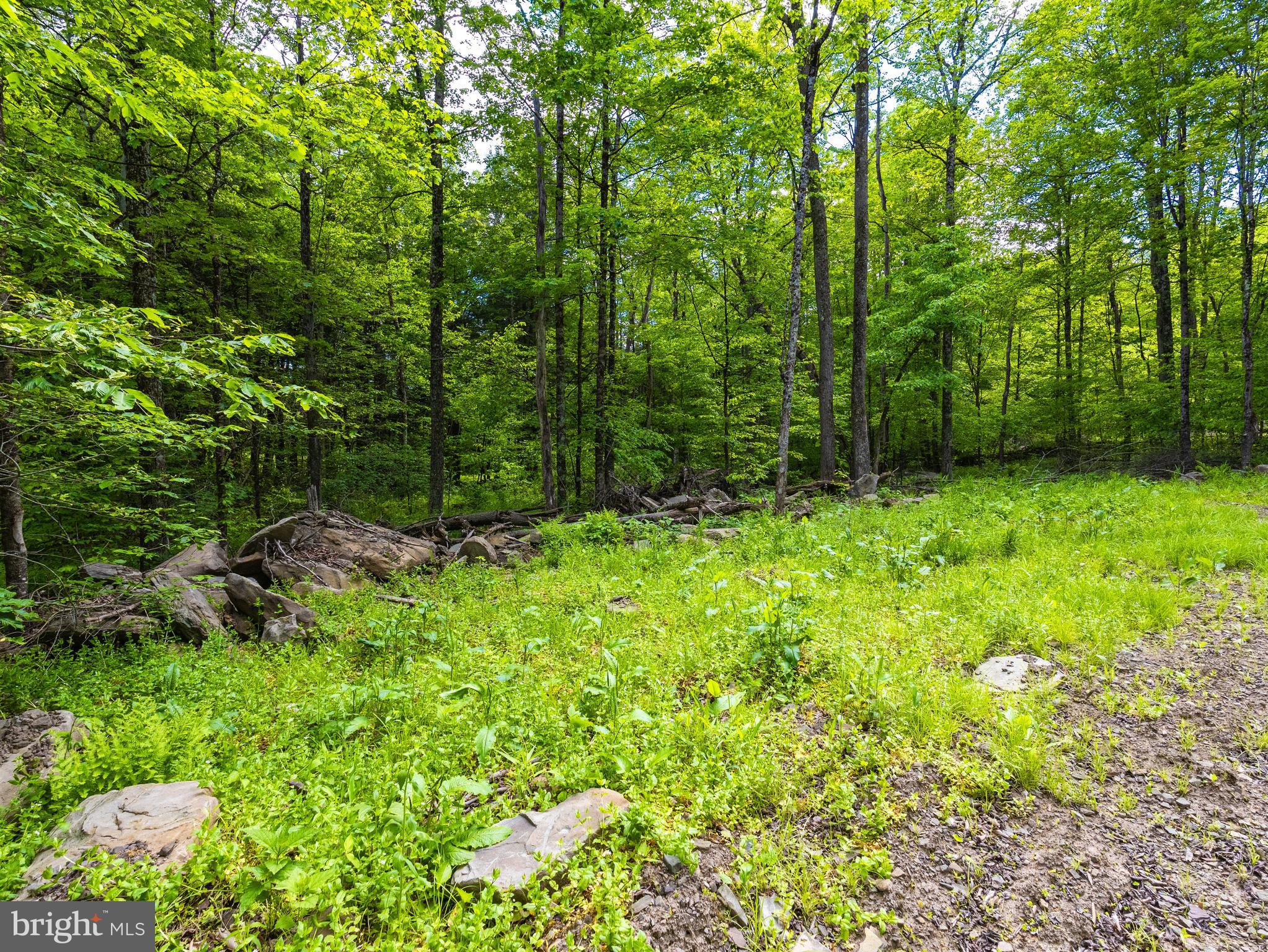 7 Crooked Creek Road Pleasant Mount, PA 18453 - Photo 22 of 42