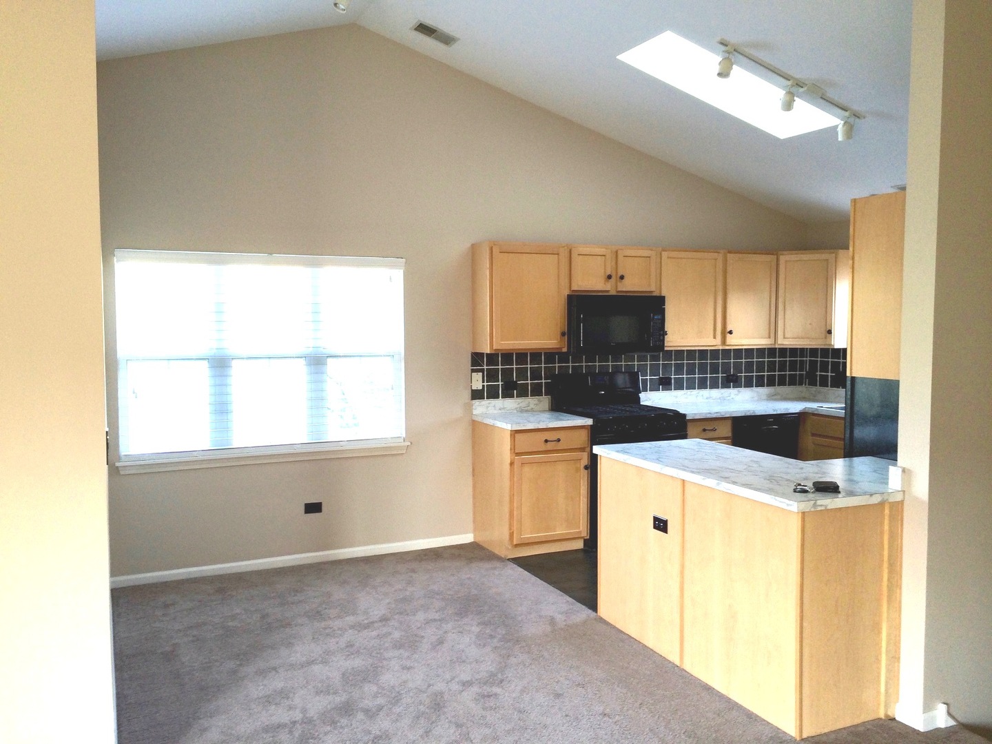 2919 Rutland Circle, Unit 201 Naperville, IL 60564 - Photo 3 of 5