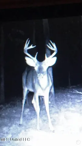 $1,275,000 | 21959 Hwy 80 Hickory Ms 39332, Hickory, MS 39332