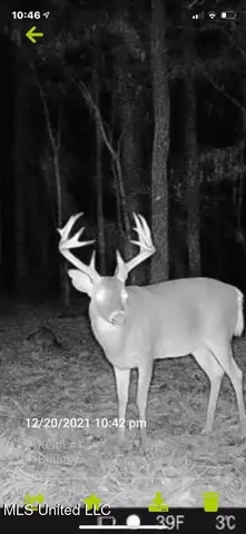 $1,275,000 | 21959 Hwy 80 Hickory Ms 39332, Hickory, MS 39332