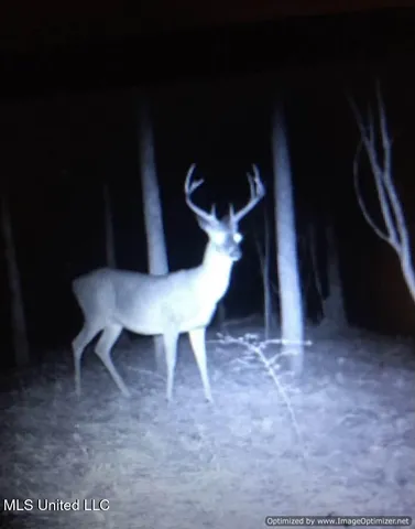 $1,275,000 | 21959 Hwy 80 Hickory Ms 39332, Hickory, MS 39332