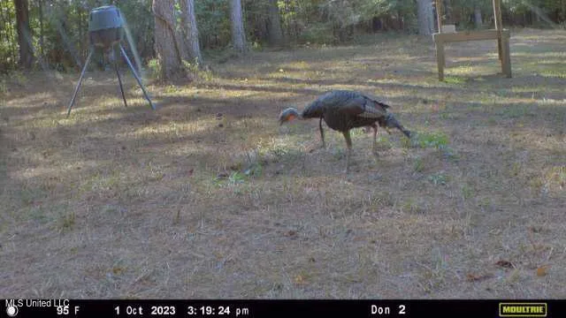 $1,275,000 | 21959 Hwy 80 Hickory Ms 39332, Hickory, MS 39332